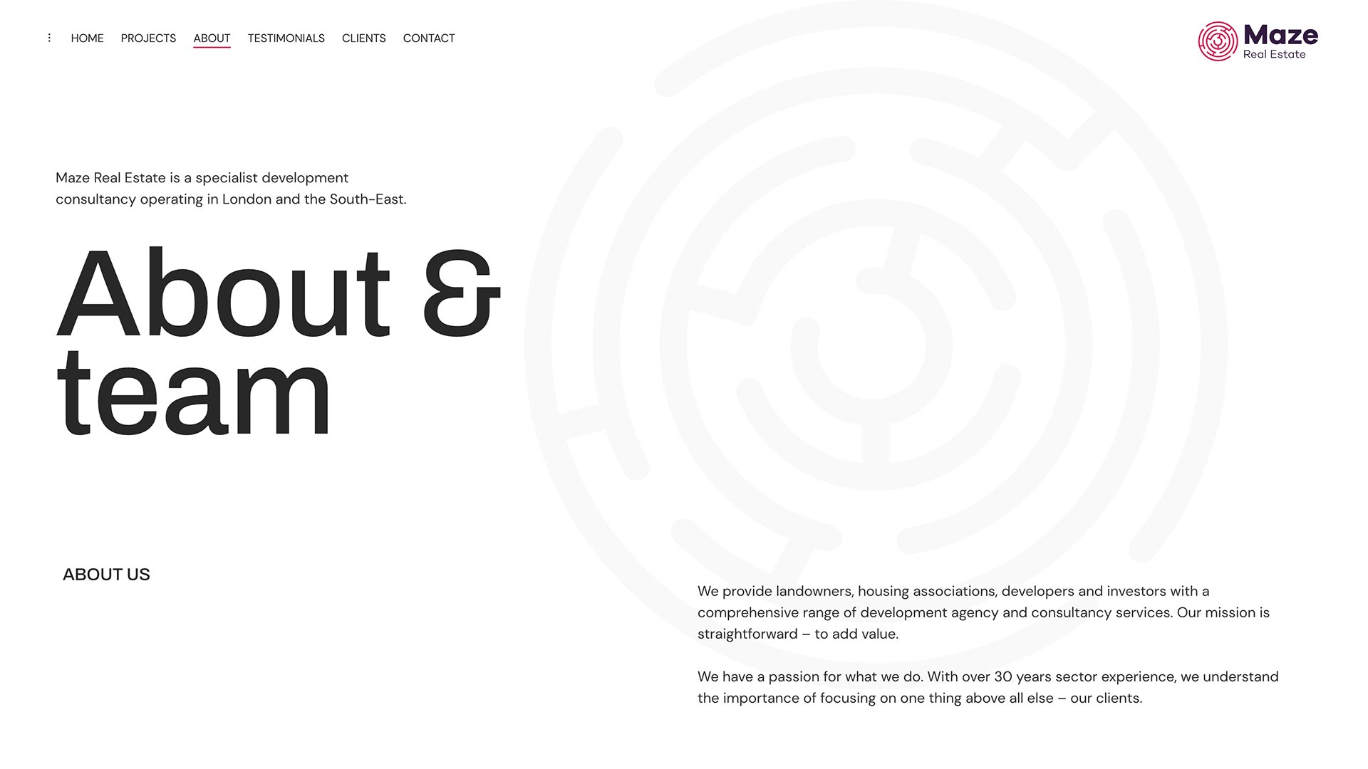 Brand &Amp; Website Design For Maze Real Estate 6 Maze real estate website design